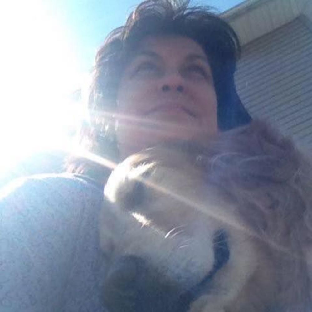 Meet your Posher, Shelley